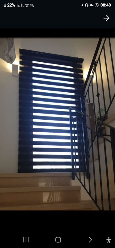 Zebra Blinds